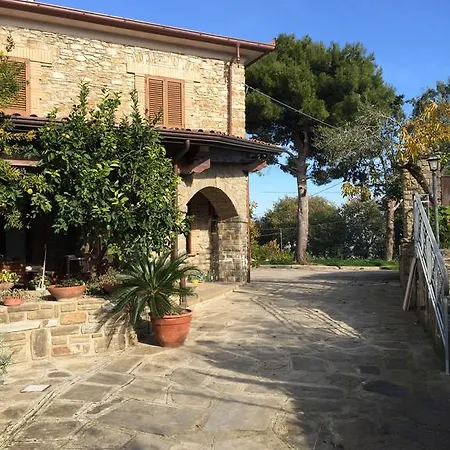 Numero 1 *